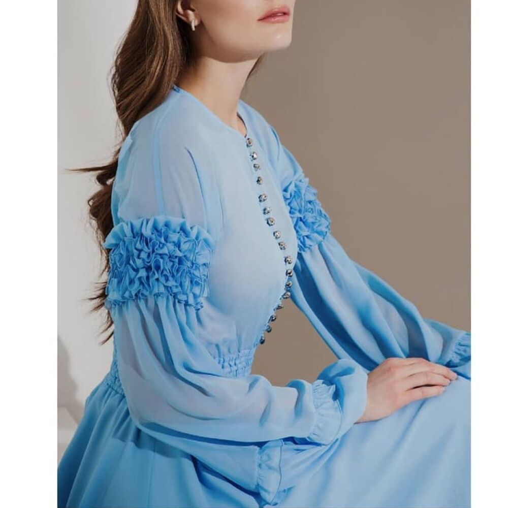Elena Guranda Blue Ruffled Dress Semi Sheer Balloon Sleeve Sz Medium - Picture 3 of 14